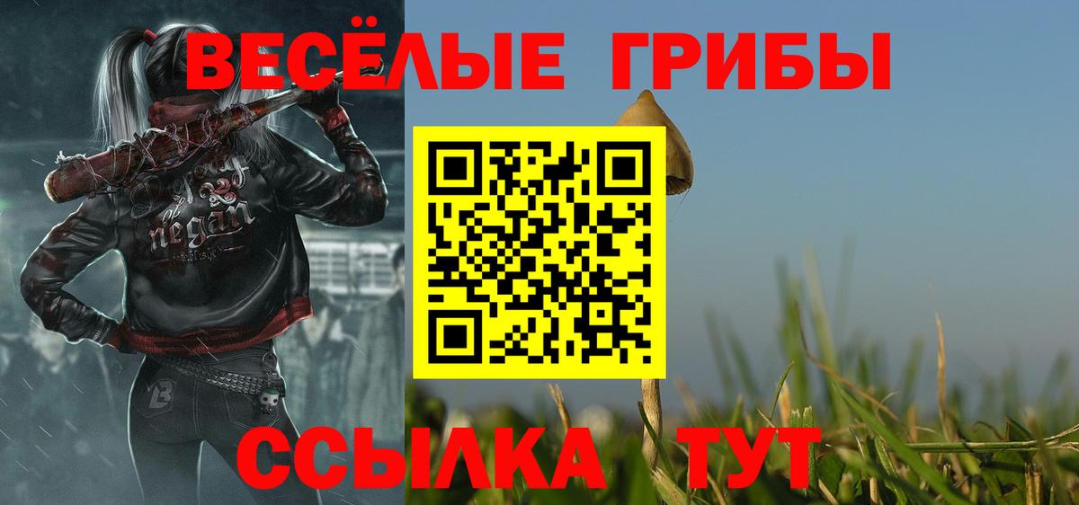 Барнаул  Галлюциногенные грибы Cubensis  Псилоцибиновые грибы GOLDEN TEACHER  Вход с VPN 